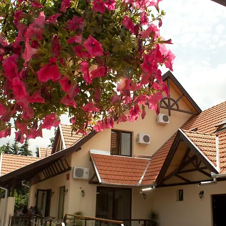Neon2 - Vendeghaz Bed & Breakfast Oroshaza