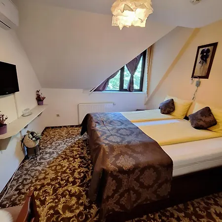 Neon2 - Vendeghaz Bed & Breakfast Oroshaza